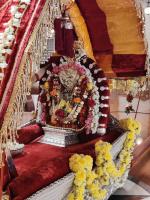 Vishnu Rudra Purusha Sukta Havana (17Dec 2020)